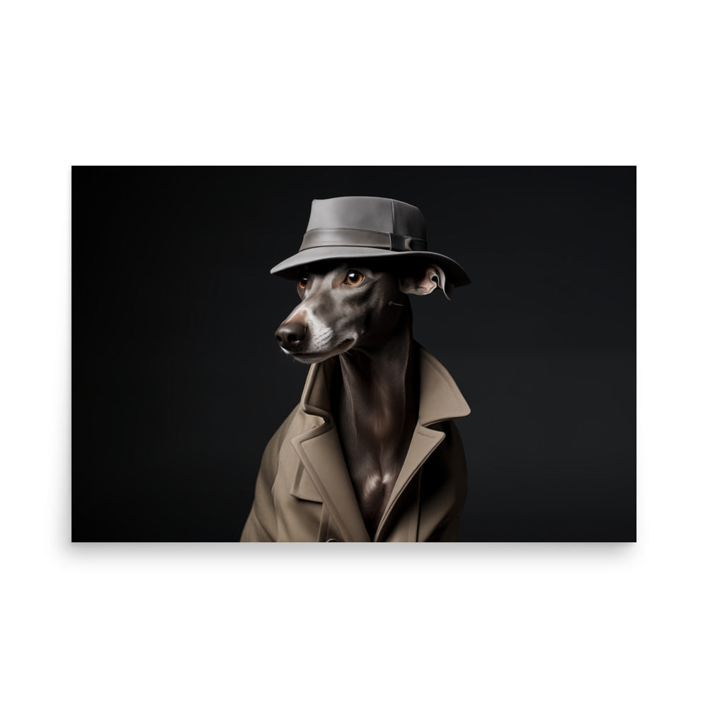 Italian Greyhound